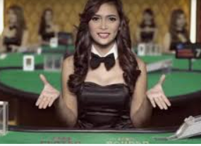 ayx入口2024最新版